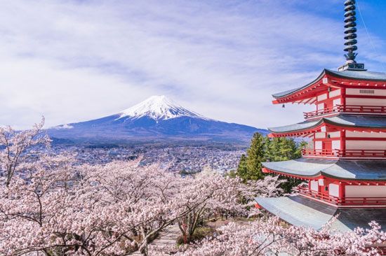 Fuji, Japonia, wycieczka do japonii, japonia wycieczki, wakacje w japonii