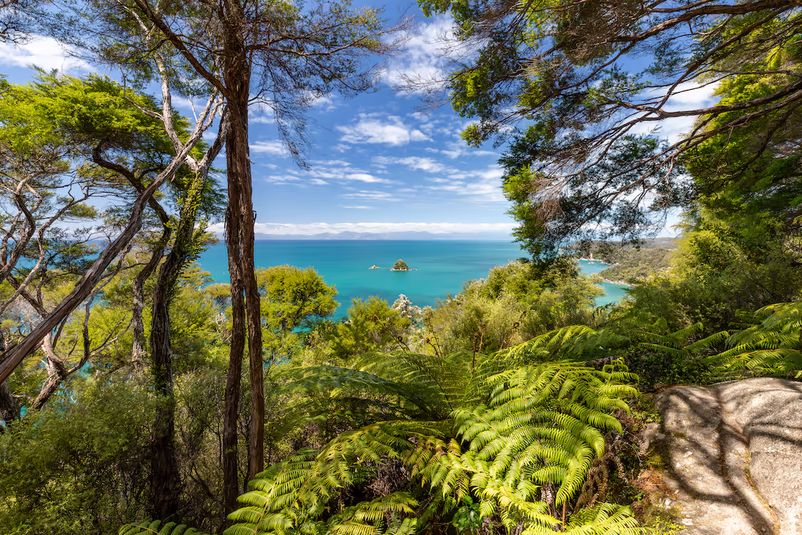 abel-tasman-nowa-zelandia